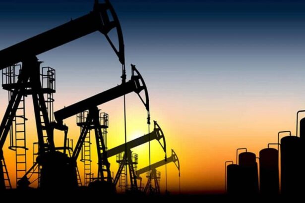 Trump propone suspender impuesto federal a gasolina por crisis energética