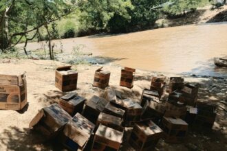 Incautan aceite de motor haitiano de contrabando en Elías Piña